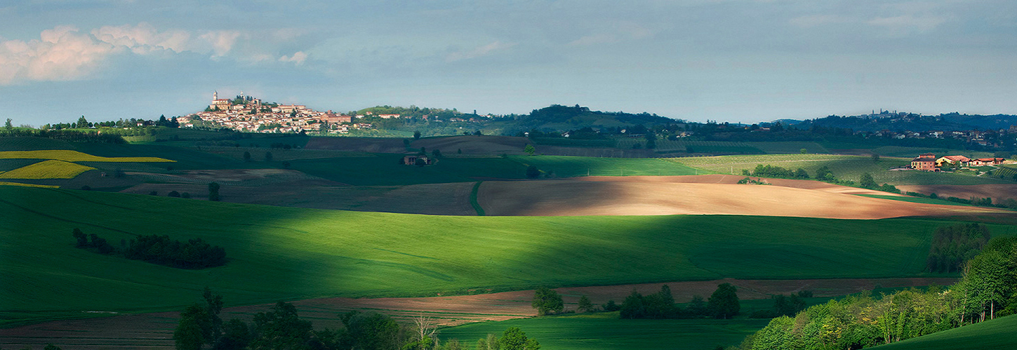 Fotografia della Primavera